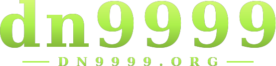 dn9999 logo